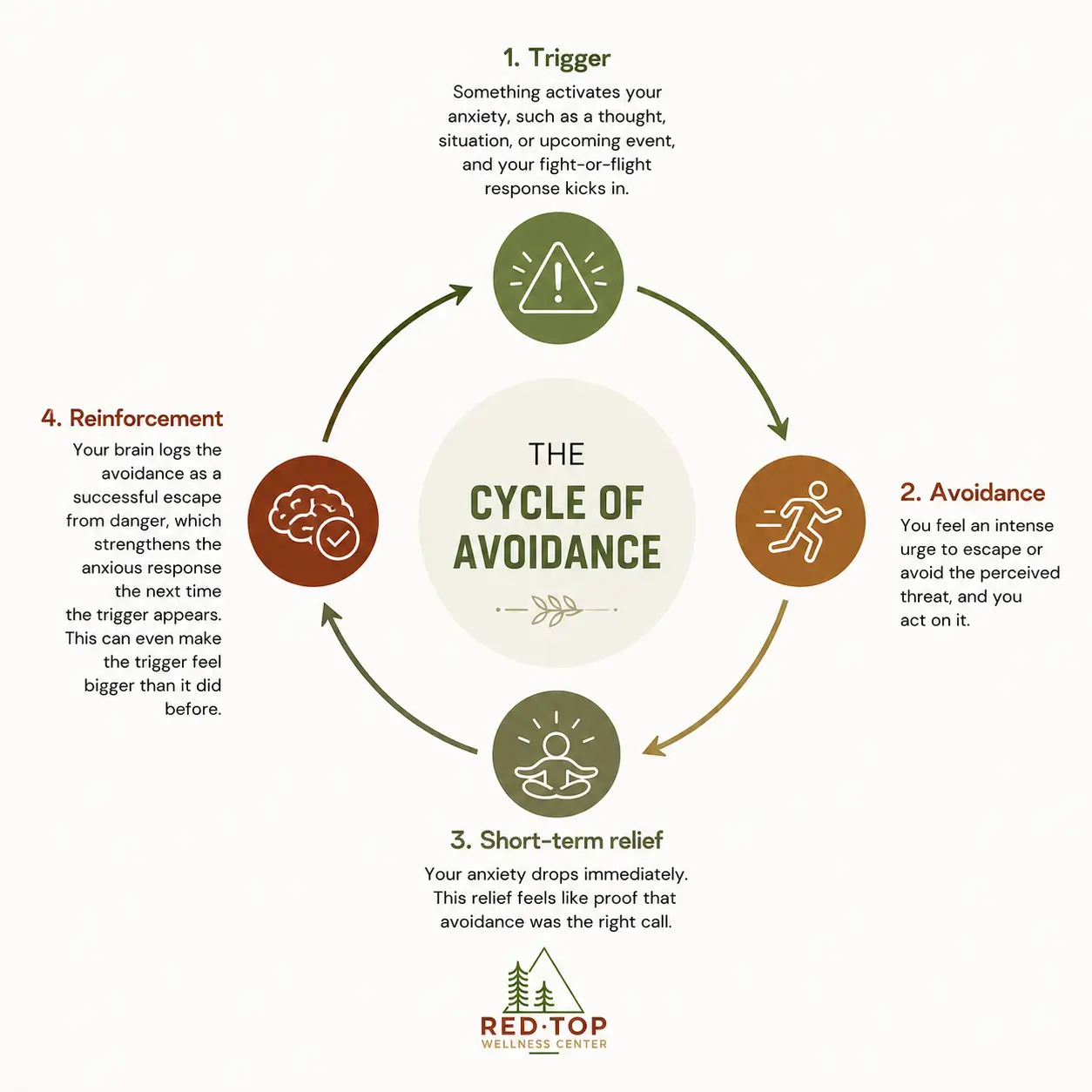 The cycle of avoidance, which involves a trigger, avoidance, short-term relief, and reinforcement.